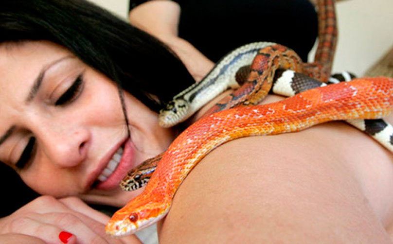 Змеиный SPA-массаж