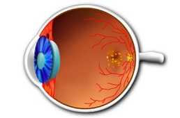 Глаукома: интересные факты о "тихом похитителе зрения"
